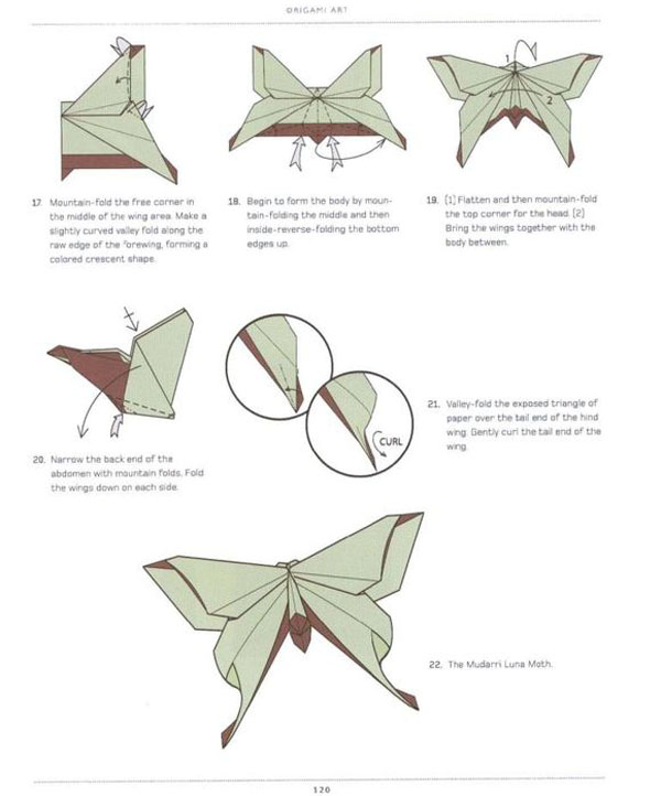 精致的蝴蝶折法教程3