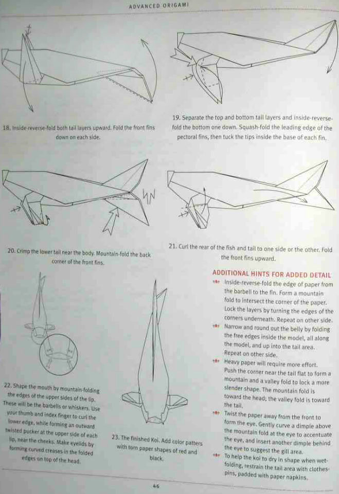 锦鲤折纸教程图解3