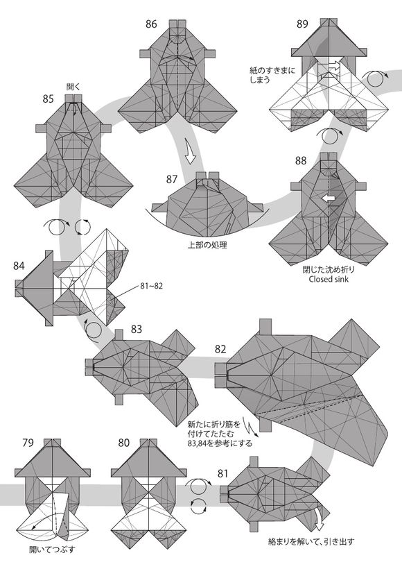 Takuro Kashiwamura的石斑鱼折纸祥细步骤8