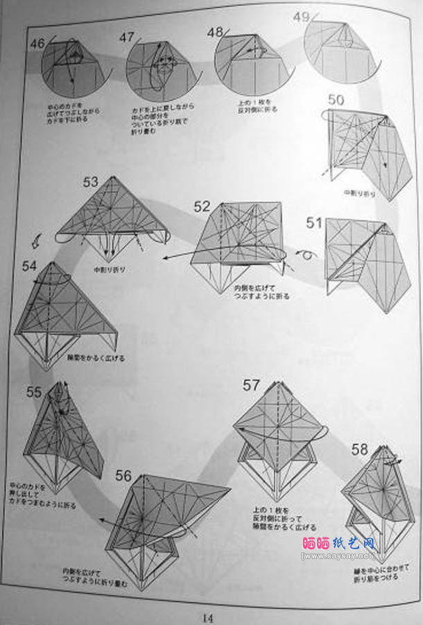 神谷哲史的寄居蟹折纸折纸的详细步骤5