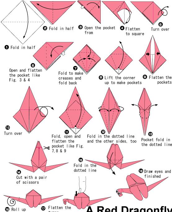 红蜻蜓手工折纸教程-儿童折纸系列