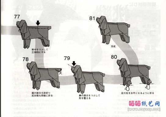 美国可卡西班尼犬折纸详细图解教程-儿童折纸系列