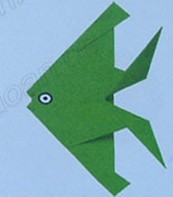 热带鱼折纸效果图