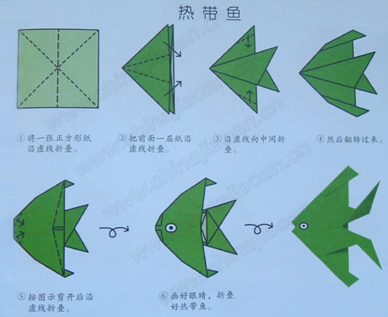 热带鱼折纸方法教程