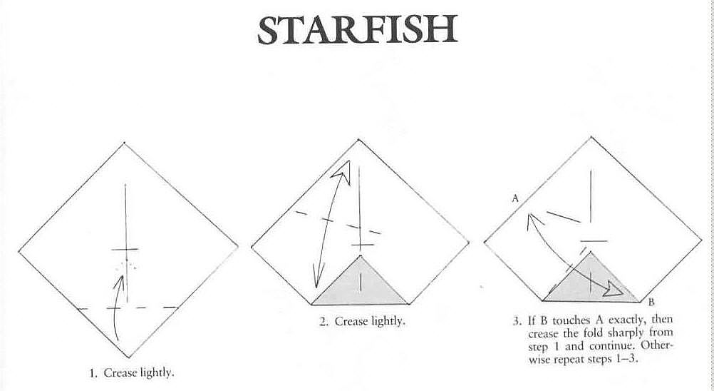 海星的折纸方法图解教程