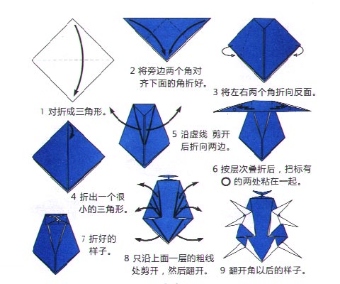 独角仙的手工折纸教程图解