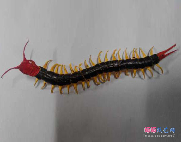 蜈蚣手工折纸DIY成品图