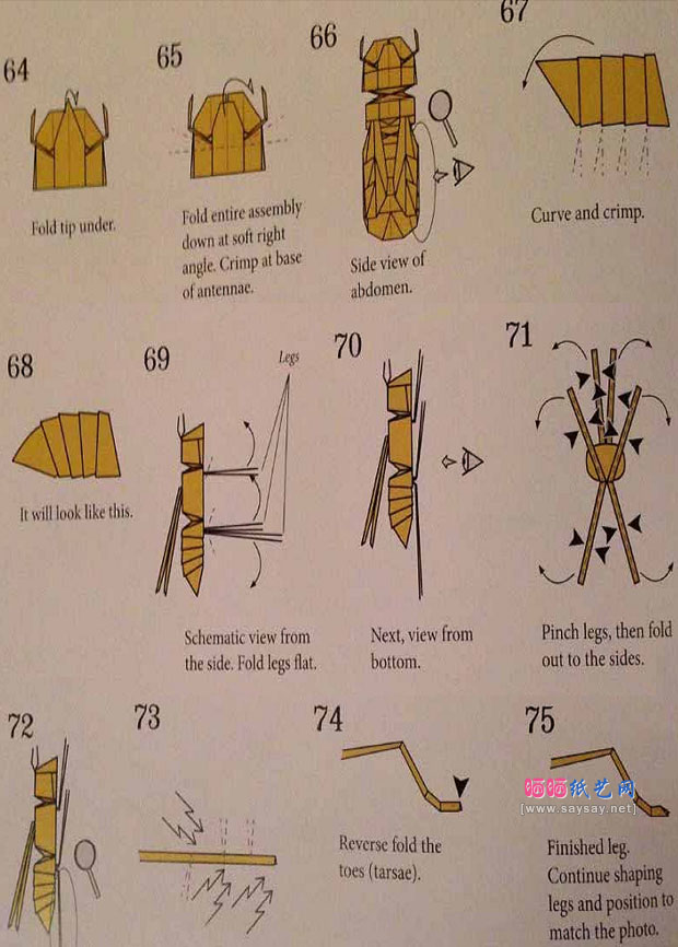 Robert J.Lang折纸教程蜜蜂的折纸步骤12