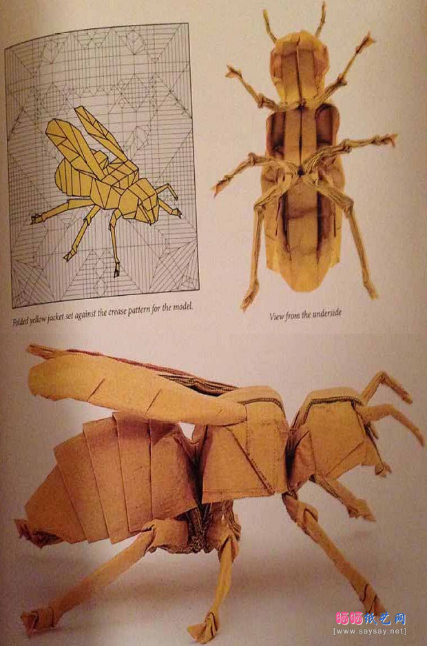 Robert J.Lang折纸教程蜜蜂的折纸步骤13