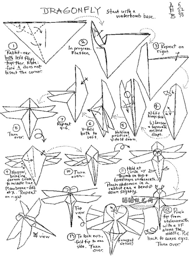 Anita Barbour折纸逼真的蜻蜓的方法