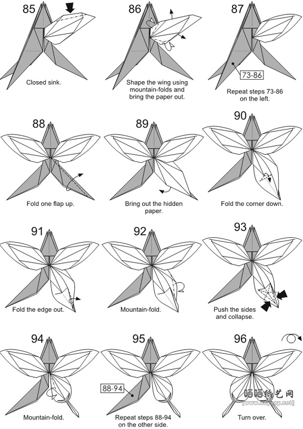Nguyen Hung Cuong折纸蝴蝶具体步骤7