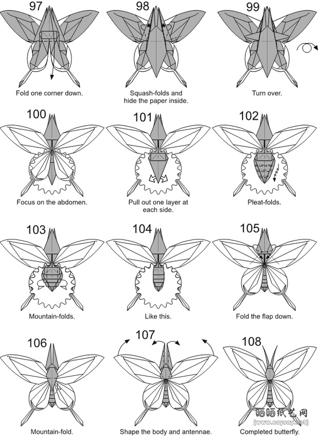 Nguyen Hung Cuong折纸蝴蝶具体步骤8