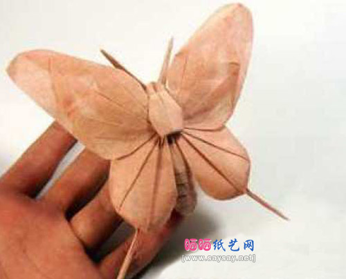 Nguyen Hung Cuong折纸蝴蝶成品图
