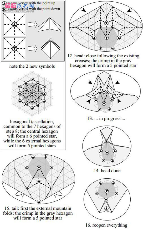 个性的乌龟折纸图片教程具体步骤3