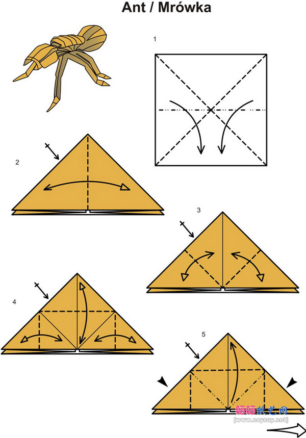 Piotr Pluta折纸蚂蚁手工制作教程图片详细步骤1