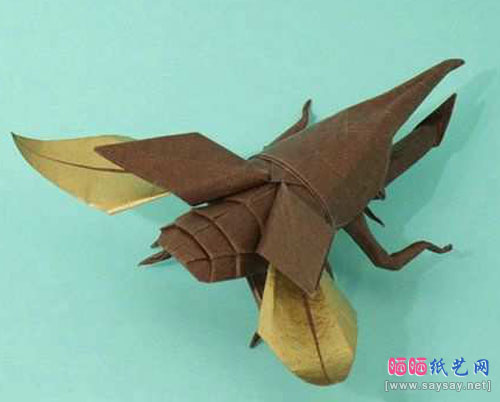 飞甲虫的折纸成品图