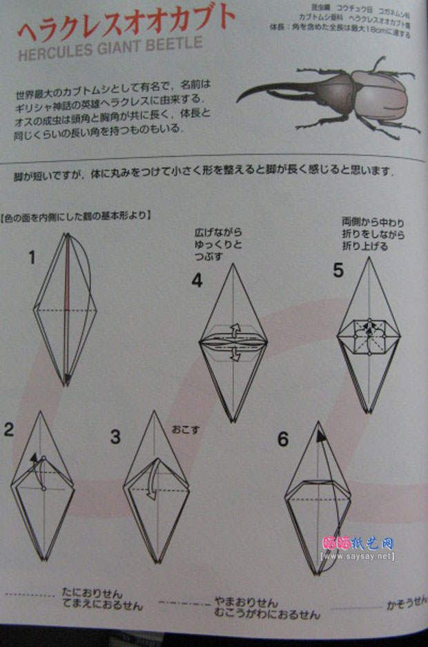 大力士甲虫手工折纸图解教程详细步骤1