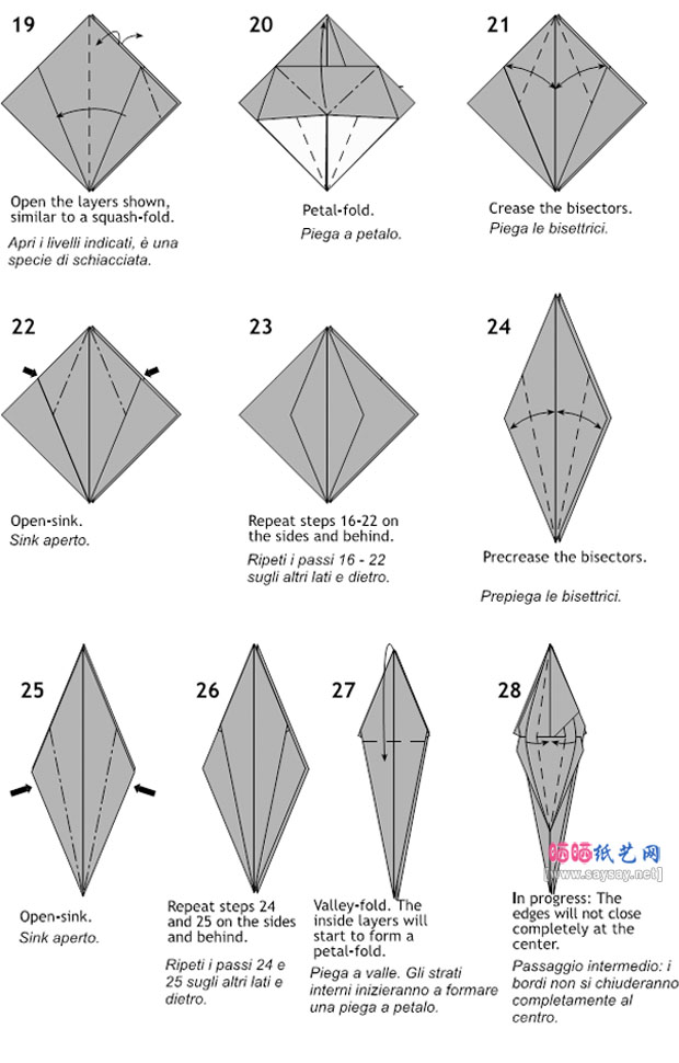 BrianChan手工折纸水黾的教程图片步骤3
