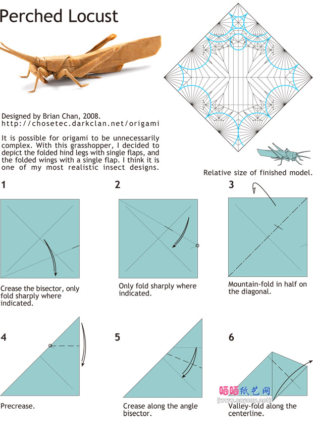 BrianChan折纸蝗虫手工DIY教程图解详细步骤1