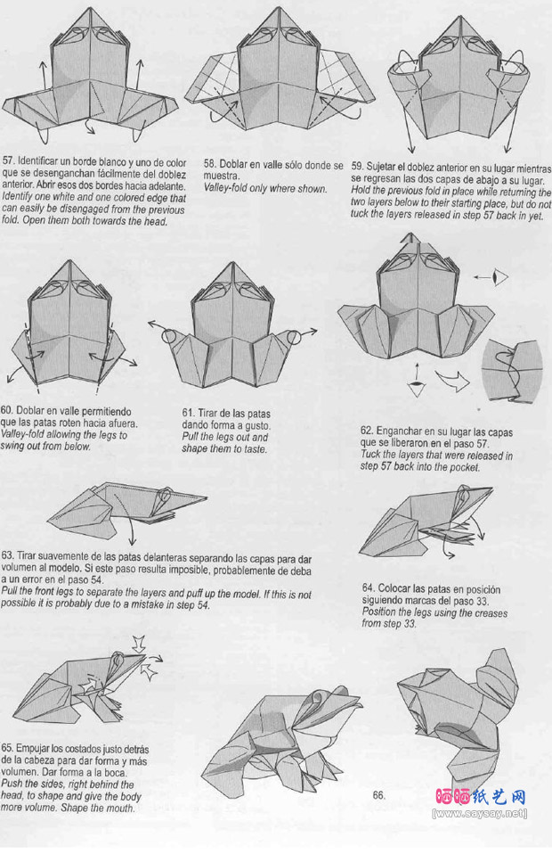 蟾蜍手工折纸教程图解图片步骤6