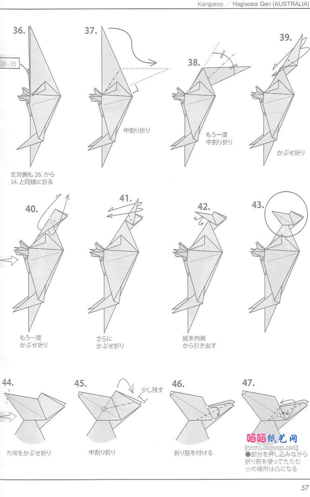 母子情深的袋鼠母子折纸教程图解步骤4