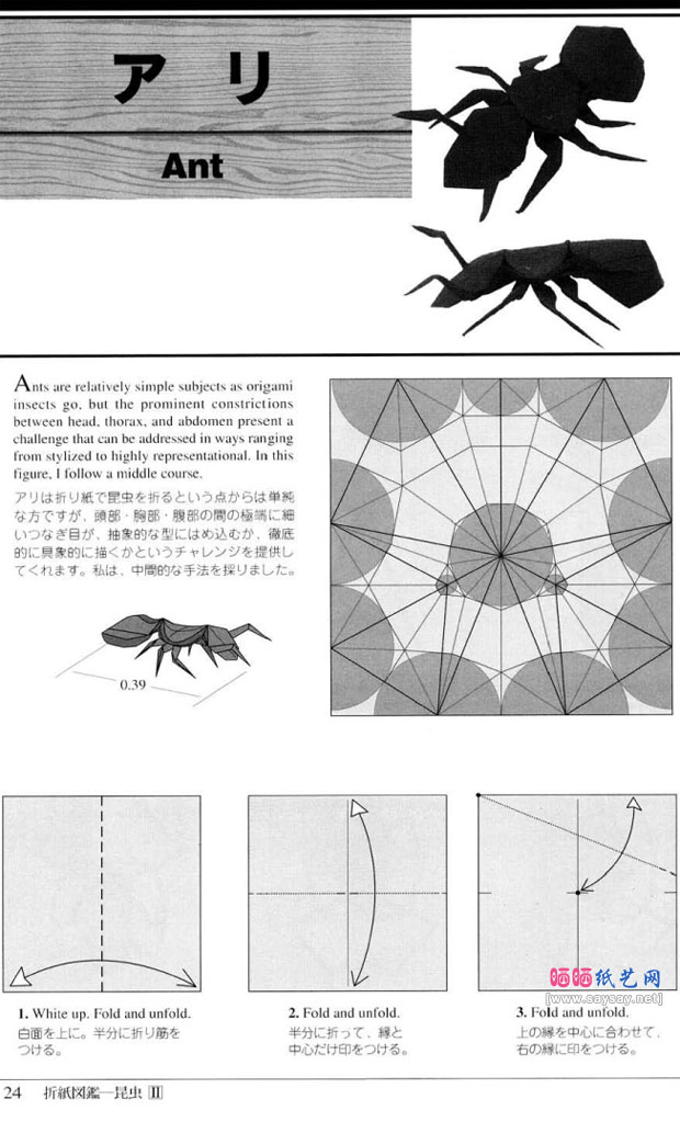 RobertJLang的蚂蚁折纸图解教程图片步骤1