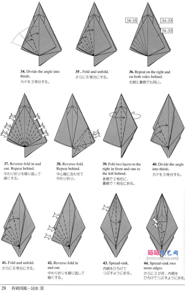 RobertJLang的蚂蚁折纸图解教程图片步骤5