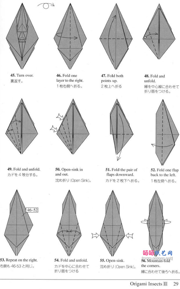 RobertJLang的蚂蚁折纸图解教程图片步骤6