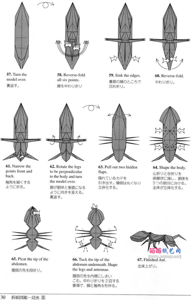 RobertJLang的蚂蚁折纸图解教程图片步骤7
