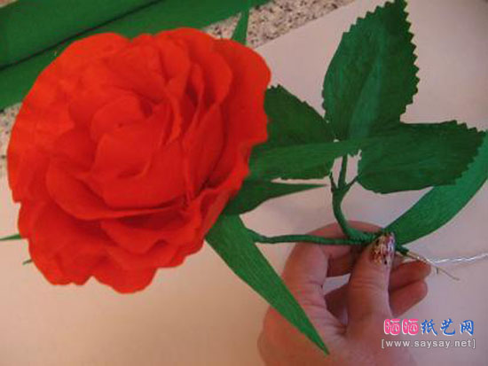皱纹纸手工制作带叶玫瑰花的做法教程图片步骤20