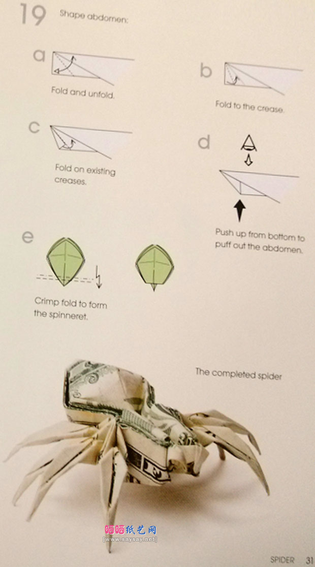 wonpark美元蜘蛛手工折纸教程图解步骤6