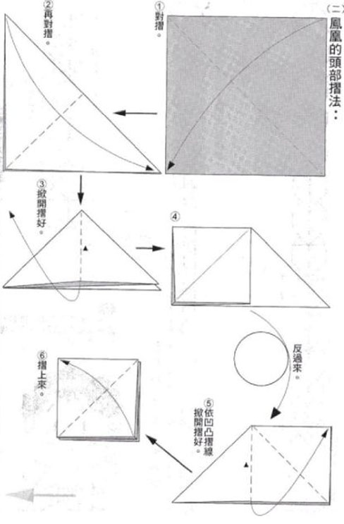 周显宗的凤凰折纸详细图解教程图片步骤7