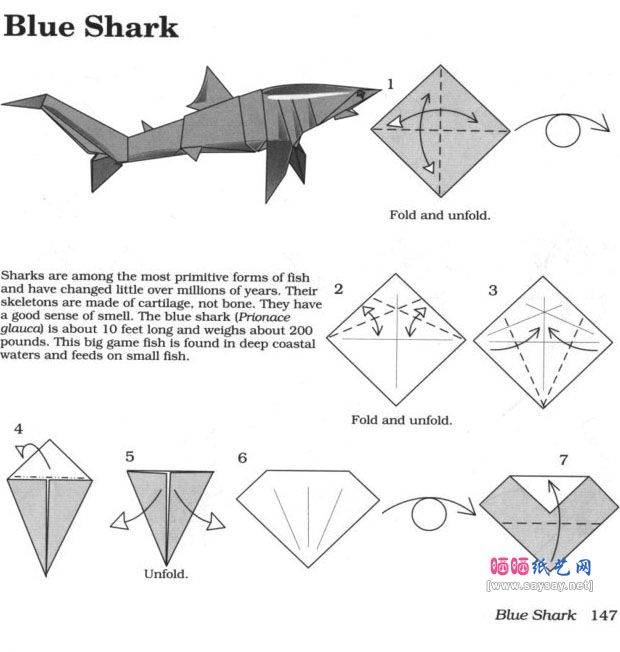 RobertJLang的鲨鱼折纸教程图片步骤1