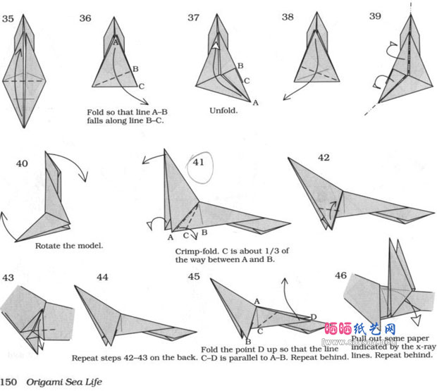 RobertJLang的鲨鱼折纸教程图片步骤3