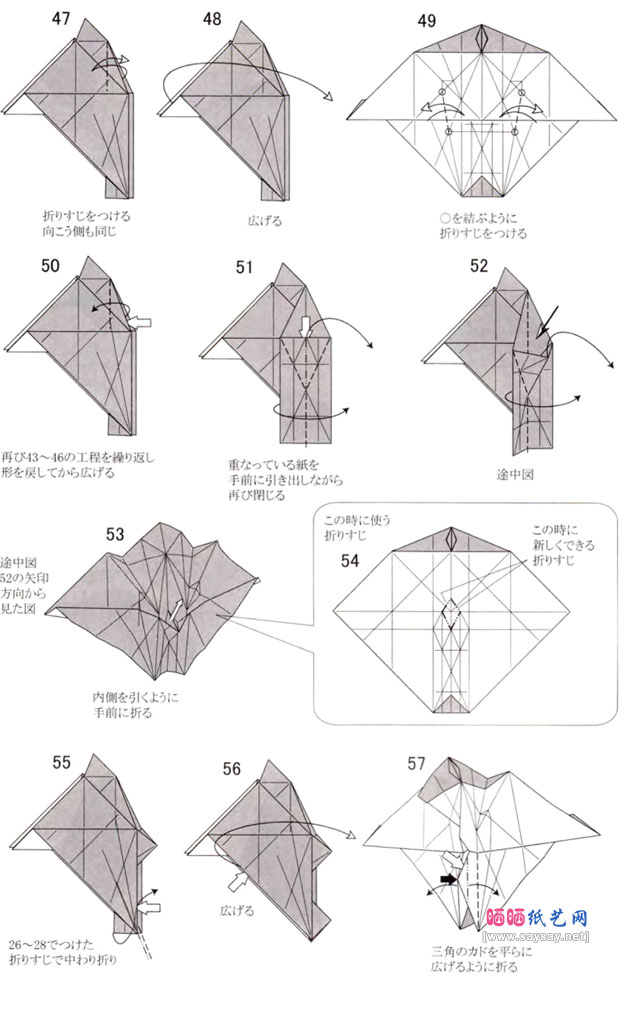 川畑文昭折纸教程海豚的折法图片步骤5