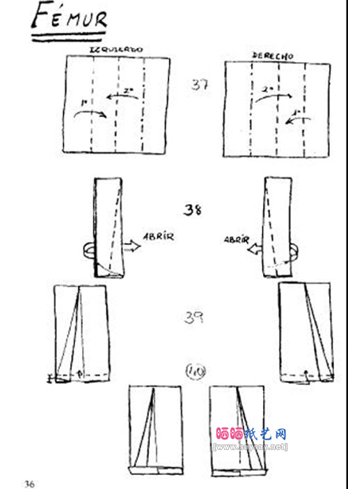 FranciscoJavier小暴龙骨骼手工折纸教程图片步骤8