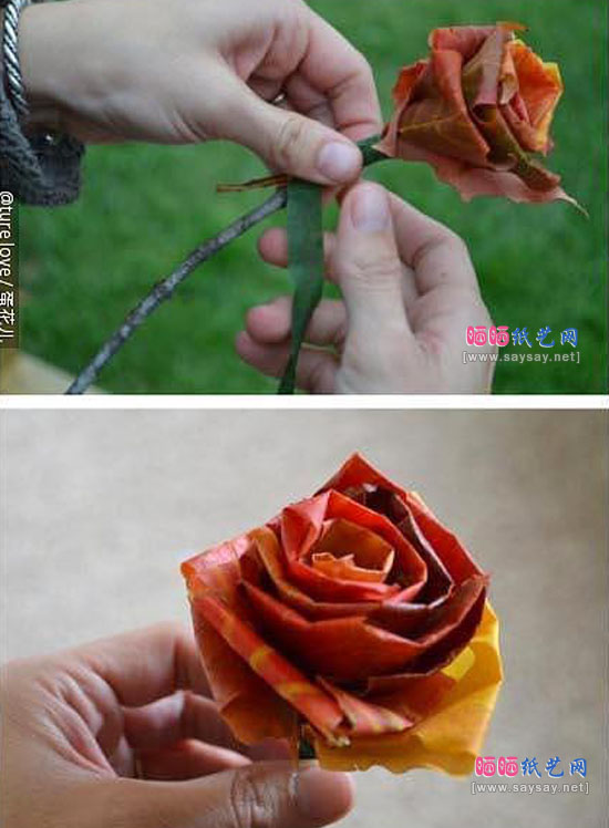 泡妞必备手工教程 如何用枫叶手工制作漂亮玫瑰花的方法图片步骤3