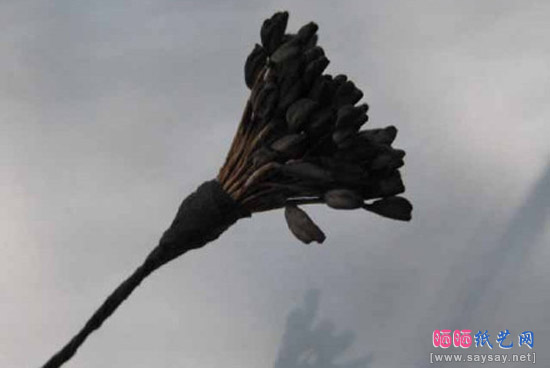 手工制作布艺花黑玫瑰DIY教程