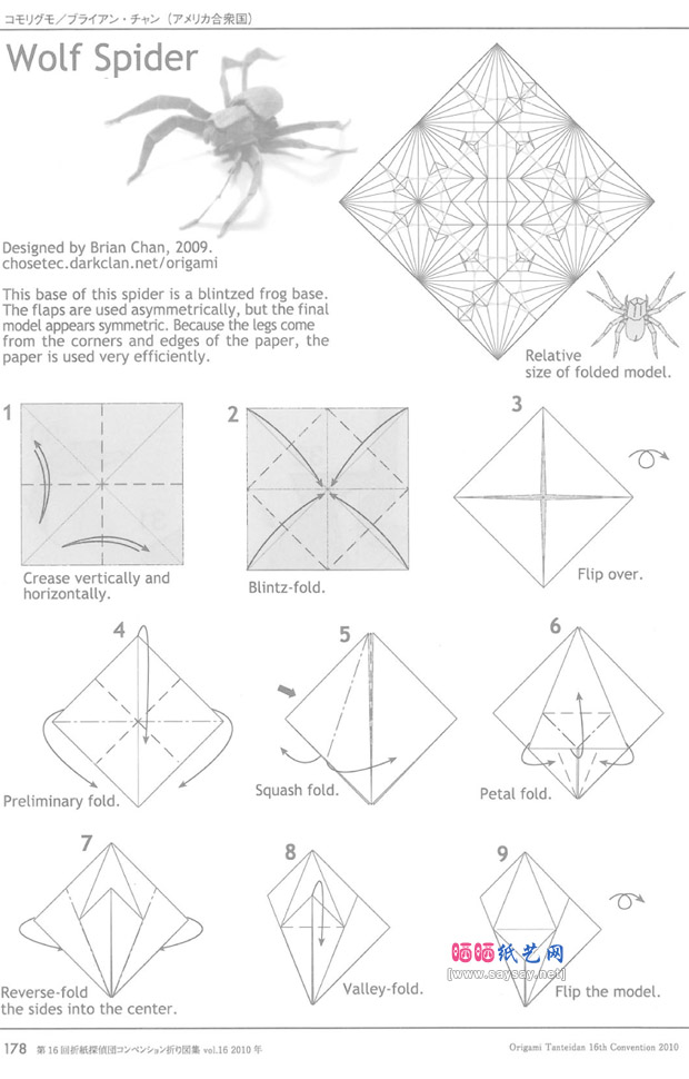 BrianChan折纸凶猛的狼蛛DIY制作教程