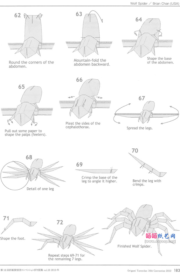 BrianChan折纸凶猛的狼蛛DIY制作教程