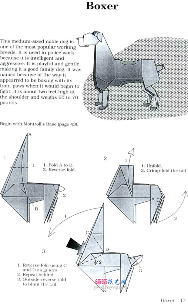 JohnMontrol拳师犬手工折纸图解教程
