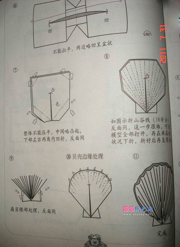折纸扇贝的方法教程