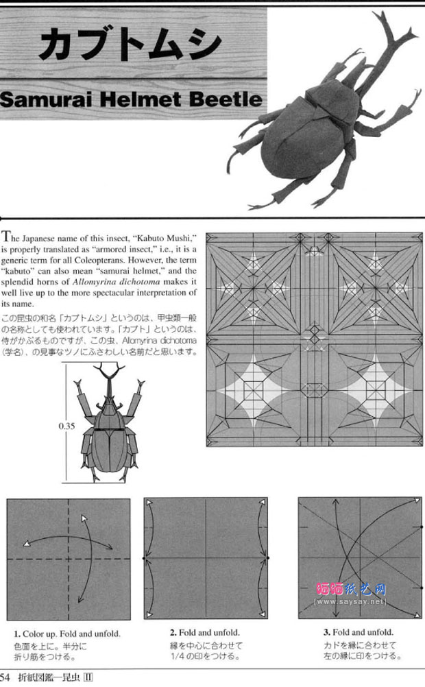 RobertJLang的大独角仙折纸教程 昆虫折纸大全