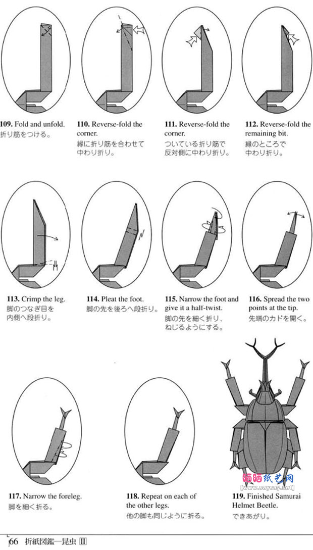 RobertJLang的大独角仙折纸教程 昆虫折纸大全