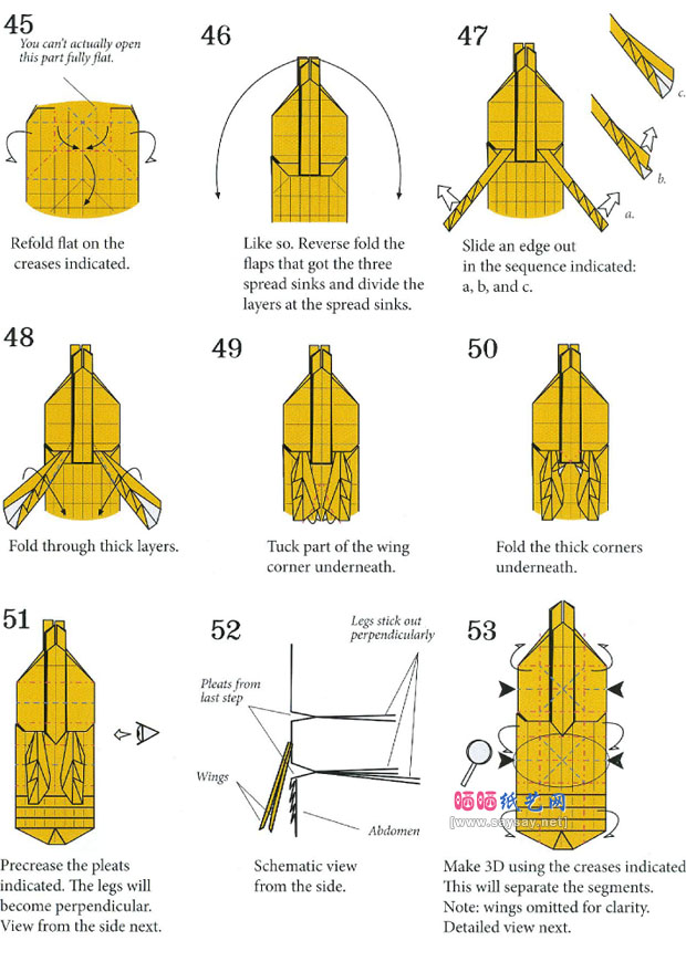 RobertJLang折纸大全 大黄蜂的折法图解教程