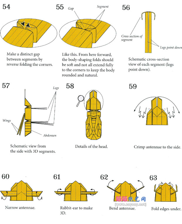 RobertJLang折纸大全 大黄蜂的折法图解教程