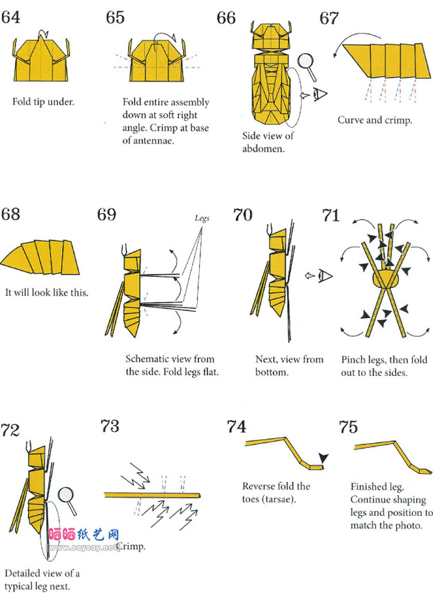 RobertJLang折纸大全 大黄蜂的折法图解教程
