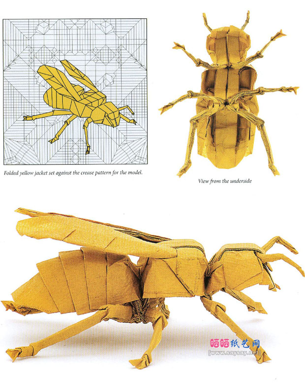 RobertJLang折纸大全 大黄蜂的折法图解教程
