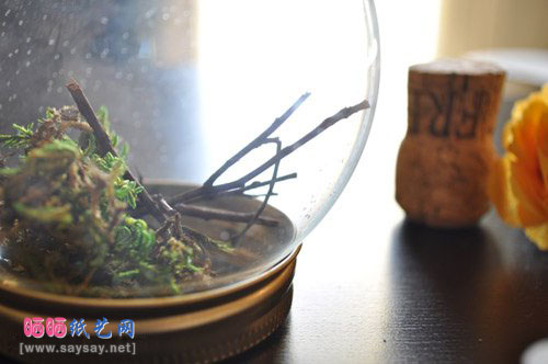朋友生日礼物DIY 精装的绿植花卉玻璃罐摆件制作教程