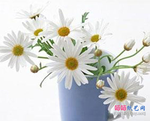 清新纸花小雏菊手工DIY方法 纸艺花制作教程大全